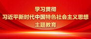 最刺的老太婆操B视频学习贯彻习近平新时代中国特色社会主义思想主题教育_fororder_ad-371X160(2)